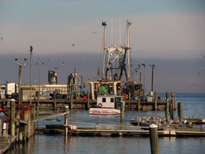 Rockland Harbor Fish Pier