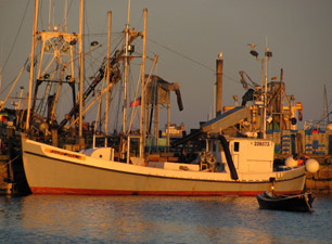 Fishing vessel at Rockland's fish pier