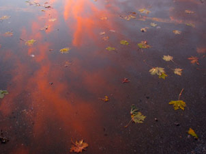 Sunset reflects in standing water